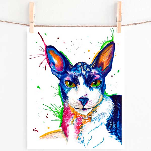 Cornish Rex Cat – Watercolor Print